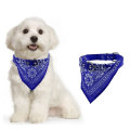 Pip de compagnie réglable Cat Cat Coun Scarf Bandana